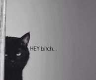 Hey Bitch