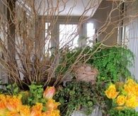 Spring vignettes