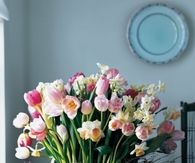 Tulips and daffodils in a nest