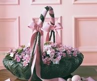 African violets basket