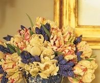 Tulips and muscari in china bowl
