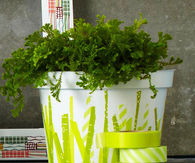 St. Patricks Day Planter