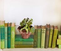 Green vintage books
