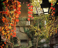 Colorful courtyard