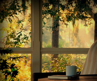 Sunny morning