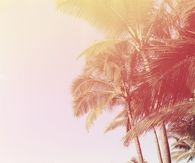 Could it be paradise