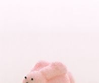 Marshmallow bunnies