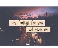 My feelings for you will never die