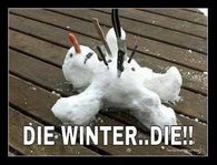 Die Winter