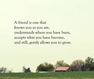 A friend is one