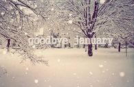 Goodbye January