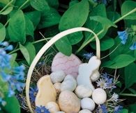 Marble easter cookies