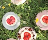 Orange poppy seed cupcakes