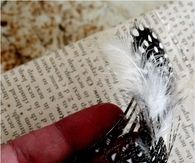 Feather barrette