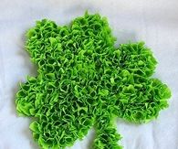 Shaggy Shamrocks
