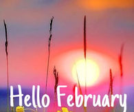 Hello February