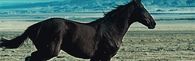 Running horse
