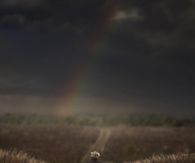In the wide open