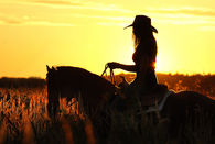 Cowgirl sillouette
