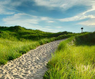 To the beach