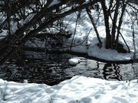 Icy stream