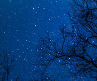 Starry night bokeh