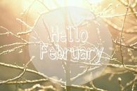 Hello February