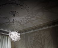Tree Ceiling Lamp