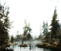 Misty waters