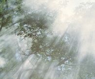 Smoky mist