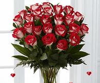 Happy Valentine's Day