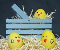 Chick eggs