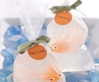 Fish in a bag soap
