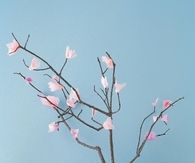 Tissue cherry blossom tree