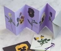 Pressed pansies