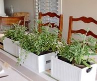 Herb boxes