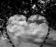 Nature Heart