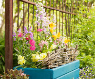 Pretty Painted Wooden Box