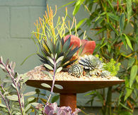 Rusted steel pedestals