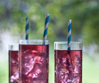 Blueberry shrubs