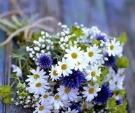 Wild flower bouquet