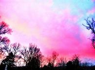 Pink Sky