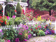 English Flower Garden