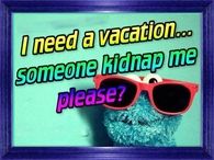 I need a vacation