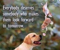 everyone deserves somebody