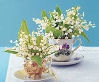Vintage teacups