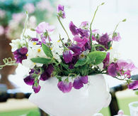 Fresh easter flowers