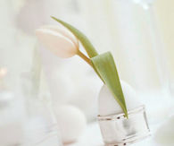 Egg flower cups