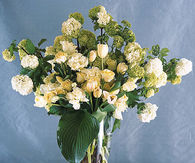 Viburnum, tulips and lisianthus