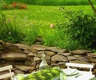 Checkered moss centerpiece